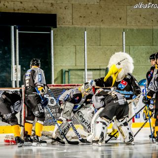 ALBATROS DE BREST VS LES DRAKKARS DE CAEN 02/02/19 - © Marion BESCOND
