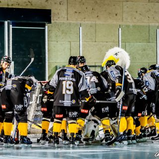 ALBATROS DE BREST VS LES DRAKKARS DE CAEN 02/02/19 - © Marion BESCOND