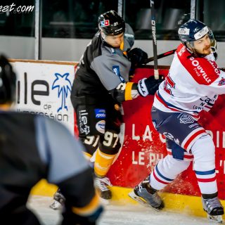 ALBATROS DE BREST VS LES DRAKKARS DE CAEN 02/02/19 - © Marion BESCOND