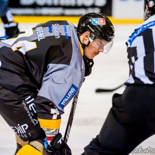 ALBATROS DE BREST VS LES DRAKKARS DE CAEN 02/02/19 - © Marion BESCOND