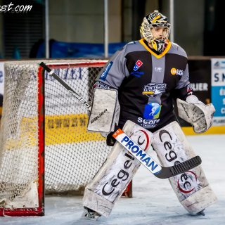 ALBATROS DE BREST VS LES DRAKKARS DE CAEN 02/02/19 - © Marion BESCOND
