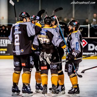 ALBATROS DE BREST VS LES DRAKKARS DE CAEN 02/02/19 - © Marion BESCOND