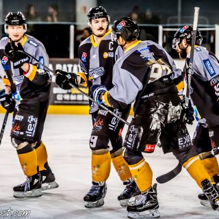 ALBATROS DE BREST VS LES DRAKKARS DE CAEN 02/02/19 - © Marion BESCOND