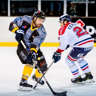 ALBATROS DE BREST VS LES DRAKKARS DE CAEN 02/02/19 - © Marion BESCOND