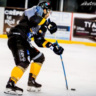 ALBATROS DE BREST VS LES DRAKKARS DE CAEN 02/02/19 - © Marion BESCOND