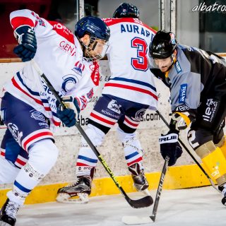 ALBATROS DE BREST VS LES DRAKKARS DE CAEN 02/02/19 - © Marion BESCOND