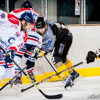 ALBATROS DE BREST VS LES DRAKKARS DE CAEN 02/02/19 - © Marion BESCOND