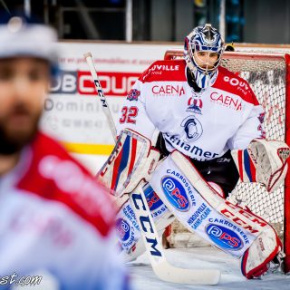 ALBATROS DE BREST VS LES DRAKKARS DE CAEN 02/02/19 - © Marion BESCOND