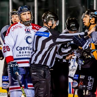 ALBATROS DE BREST VS LES DRAKKARS DE CAEN 02/02/19 - © Marion BESCOND