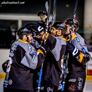 ALBATROS DE BREST VS LES DRAKKARS DE CAEN 02/02/19 - © Marion BESCOND