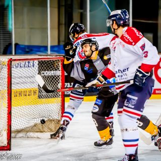 ALBATROS DE BREST VS LES DRAKKARS DE CAEN 02/02/19 - © Marion BESCOND