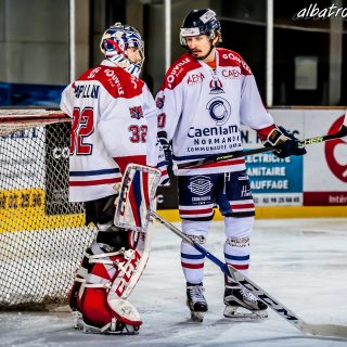 ALBATROS DE BREST VS LES DRAKKARS DE CAEN 02/02/19 - © Marion BESCOND