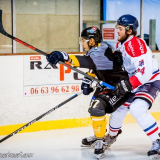 ALBATROS DE BREST VS LES DRAKKARS DE CAEN 02/02/19 - © Marion BESCOND