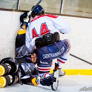 ALBATROS DE BREST VS LES DRAKKARS DE CAEN 02/02/19 - © Marion BESCOND