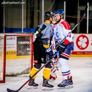 ALBATROS DE BREST VS LES DRAKKARS DE CAEN 02/02/19 - © Marion BESCOND