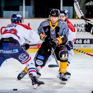 ALBATROS DE BREST VS LES DRAKKARS DE CAEN 02/02/19 - © Marion BESCOND
