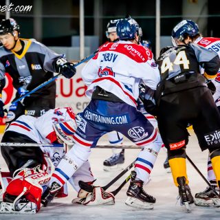 ALBATROS DE BREST VS LES DRAKKARS DE CAEN 02/02/19 - © Marion BESCOND