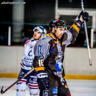 ALBATROS DE BREST VS LES DRAKKARS DE CAEN 02/02/19 - © Marion BESCOND