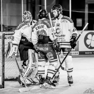 ALBATROS DE BREST VS LES DRAKKARS DE CAEN 02/02/19 - © Marion BESCOND