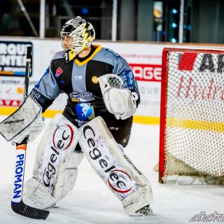 ALBATROS DE BREST VS LES DRAKKARS DE CAEN 02/02/19 - © Marion BESCOND