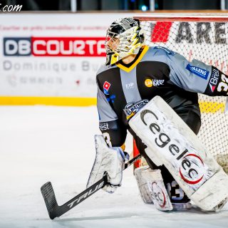 ALBATROS DE BREST VS LES DRAKKARS DE CAEN 02/02/19 - © Marion BESCOND