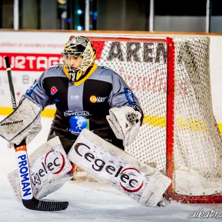 ALBATROS DE BREST VS LES DRAKKARS DE CAEN 02/02/19 - © Marion BESCOND