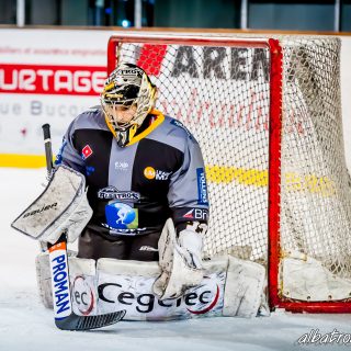 ALBATROS DE BREST VS LES DRAKKARS DE CAEN 02/02/19 - © Marion BESCOND