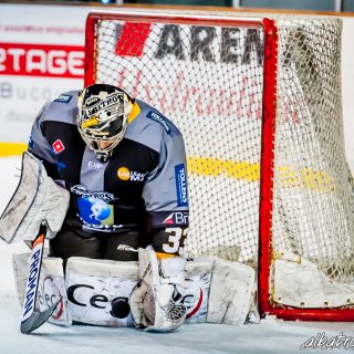 ALBATROS DE BREST VS LES DRAKKARS DE CAEN 02/02/19 - © Marion BESCOND