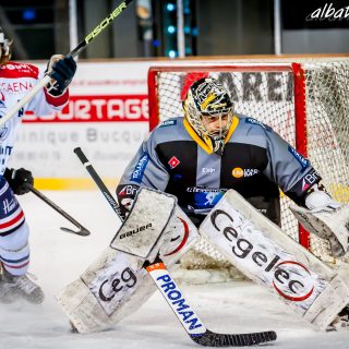 ALBATROS DE BREST VS LES DRAKKARS DE CAEN 02/02/19 - © Marion BESCOND