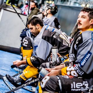 ALBATROS DE BREST VS LES DRAKKARS DE CAEN 02/02/19 - © Marion BESCOND