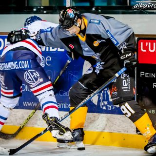 ALBATROS DE BREST VS LES DRAKKARS DE CAEN 02/02/19 - © Marion BESCOND
