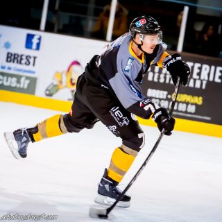 ALBATROS DE BREST VS LES DRAKKARS DE CAEN 02/02/19 - © Marion BESCOND