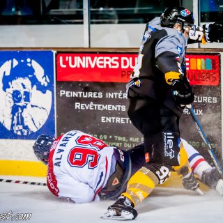 ALBATROS DE BREST VS LES DRAKKARS DE CAEN 02/02/19 - © Marion BESCOND