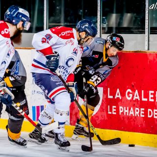 ALBATROS DE BREST VS LES DRAKKARS DE CAEN 02/02/19 - © Marion BESCOND
