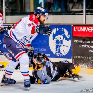 ALBATROS DE BREST VS LES DRAKKARS DE CAEN 02/02/19 - © Marion BESCOND