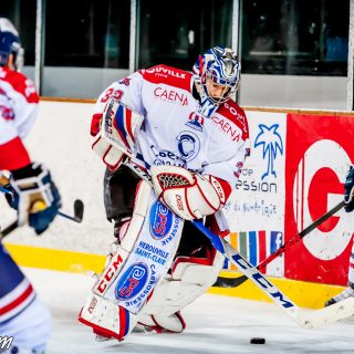 ALBATROS DE BREST VS LES DRAKKARS DE CAEN 02/02/19 - © Marion BESCOND