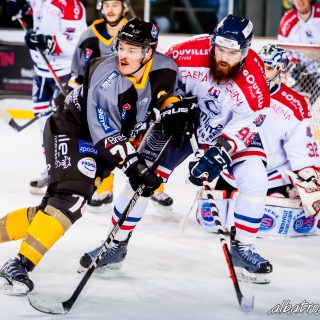 ALBATROS DE BREST VS LES DRAKKARS DE CAEN 02/02/19 - © Marion BESCOND