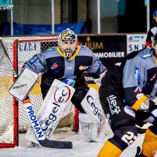 ALBATROS DE BREST VS LES DRAKKARS DE CAEN 02/02/19 - © Marion BESCOND