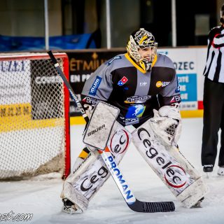 ALBATROS DE BREST VS LES DRAKKARS DE CAEN 02/02/19 - © Marion BESCOND