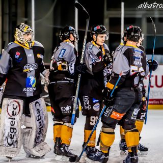 ALBATROS DE BREST VS LES DRAKKARS DE CAEN 02/02/19 - © Marion BESCOND