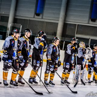 ALBATROS DE BREST VS LES DRAKKARS DE CAEN 02/02/19 - © Marion BESCOND
