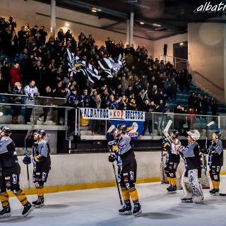 ALBATROS DE BREST VS LES DRAKKARS DE CAEN 02/02/19 - © Marion BESCOND