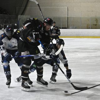 27/01/24 - D1-J19 - BREST-TOURS (7-6 TAB) - © Julien Ogor