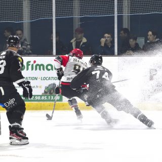 04/11/23 - D1-J6 - BREST-NEUILLY (5-6 TAB) - © Julien Ogor