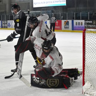 16/01/24 - D1-J17 - BREST-MORZINE (4-3) - © Julien Ogor