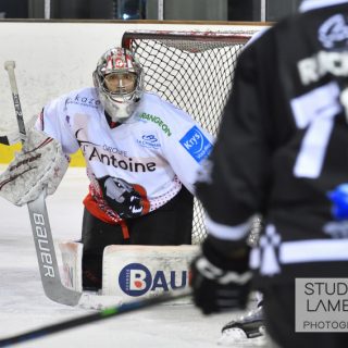 20/02/2021 - J4 - BREST-CHOLET (3-7) - © Julien Ogor