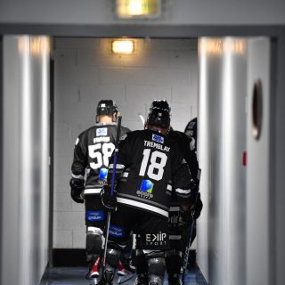 04/03/23 - D1-J25 - BREST-MONTPELLIER (2-1) - © Julien Ogor