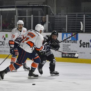 04/03/23 - D1-J25 - BREST-MONTPELLIER (2-1) - © Julien Ogor