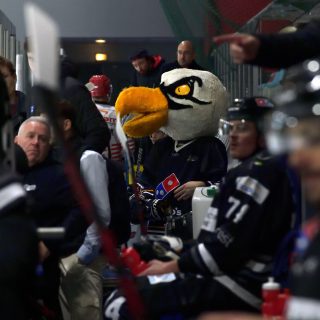 01/10/22 - COUPE DE FRANCE - BREST-CHOLET (3-4 PRL) - © Julien Ogor
