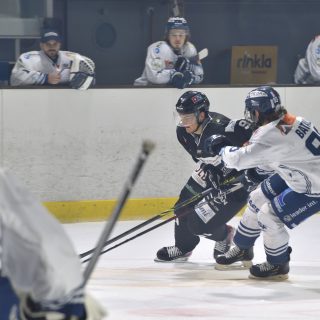 03/12/22 - D1-J10 - BREST-DUNKERQUE (8-3) - © Julien Ogor